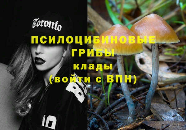 молекула духа Белоозёрский