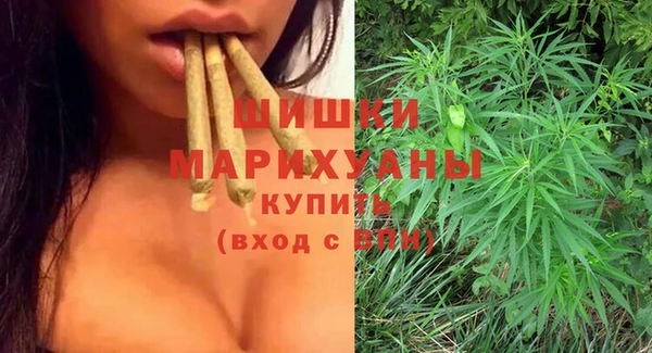 бошки Белокуриха
