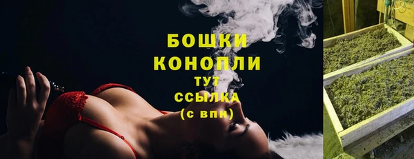 бошки Белокуриха