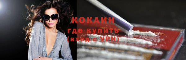 бошки Белокуриха