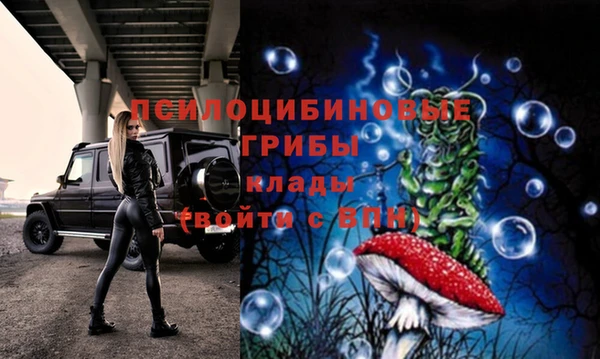 молекула духа Белоозёрский