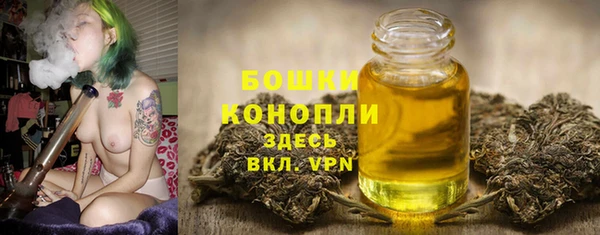 молекула духа Белоозёрский