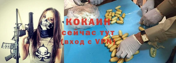бошки Белокуриха