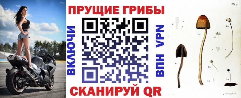 Псилоцибиновые грибы GOLDEN TEACHER  дарнет шоп  Верхотурье 